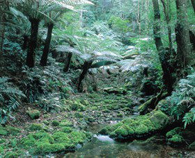 Deua National Park - Accommodation Gold Coast 0