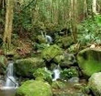Budderoo National Park - Accommodation Gold Coast
