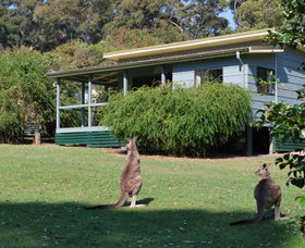 Murramarang National Park - Accommodation Gold Coast 0