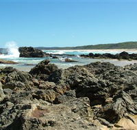 Coastal Walks - Bermagui - Accommodation Gold Coast