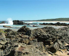 Coastal Walks - Bermagui - Accommodation Gold Coast 0
