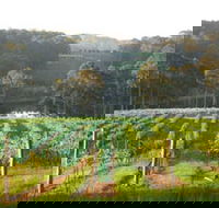Tilba Valley Wines - Accommodation Gold Coast