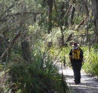 Barren Grounds Nature Reserve - Accommodation Gold Coast