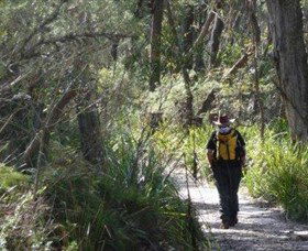 Barren Grounds Nature Reserve - Accommodation Gold Coast 0