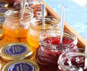 South Coast Providores - 1 Gold Coast 0