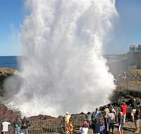 Kiama Blowhole - Accommodation Gold Coast
