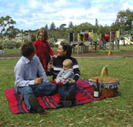 Blackbutt Forest Reserve - Accommodation Gold Coast