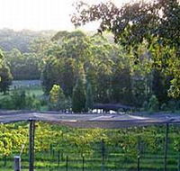 Lyrebird Ridge Organic Winery - 1 Gold Coast