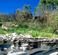 Abrahams Bosom Reserve - Accommodation Gold Coast