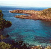 Bass Point Reserve - Accommodation Gold Coast