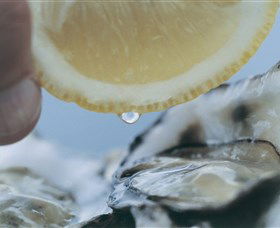 Pearly Oyster Bar And Farm - Accommodation Gold Coast 0