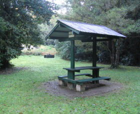 Pine Creek State Forest - 1 Gold Coast 0