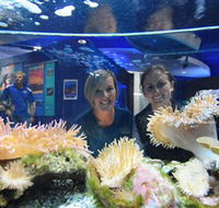 Solitary Islands Aquarium