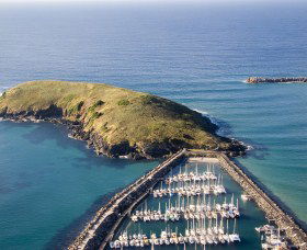 Muttonbird Island Nature Reserve - 1 Gold Coast 0