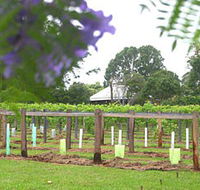 Douglas Vale Historic Homestead  Vineyard - Gold Coast 4U