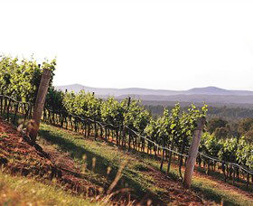 Briar Ridge Vineyard - Accommodation Gold Coast 1