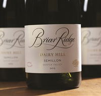 Briar Ridge Vineyard - Accommodation Gold Coast
