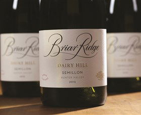 Briar Ridge Vineyard - Accommodation Gold Coast 0