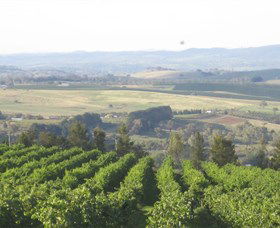 De Salis Wines - Accommodation Gold Coast 1
