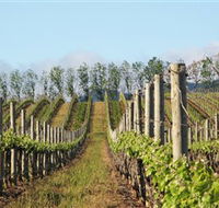 Philip Shaw Wines - Accommodation Gold Coast