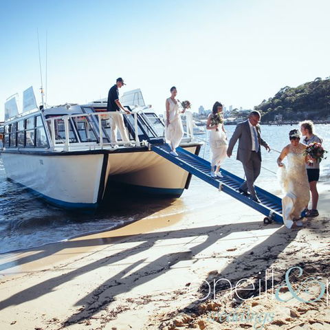 H2O Maxi Taxis - Accommodation Gold Coast 3