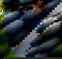 Swinging Bridge Estate - 1 Gold Coast