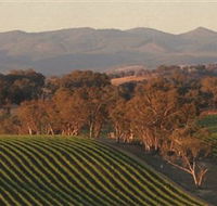 Angullong Wines - Accommodation Gold Coast