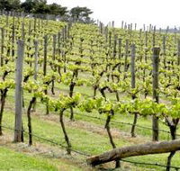 Bantry Grove - 1 Gold Coast