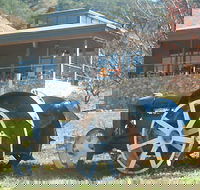 Lake George Winery - Accommodation Gold Coast