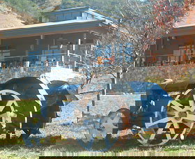 Lake George Winery - 1 Gold Coast 0