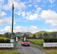 Sarabah Estate Vineyard - Accommodation Gold Coast