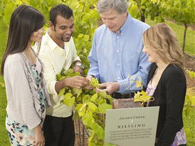 Jacob's Creek Vineyard Tour - Accommodation Gold Coast 0