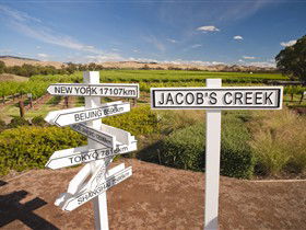 Jacob's Creek Vineyard Tour - Accommodation Gold Coast 1