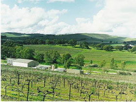 Stephen John Wines - 1 Gold Coast 2