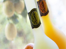 Ambra Limoncello - 1 Gold Coast 0