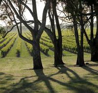 Henry's Drive Vignerons - Accommodation Gold Coast