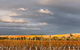 Coombe Yarra Valley - thumb 1