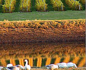 Pipers Brook TAS Accommodation Gold Coast