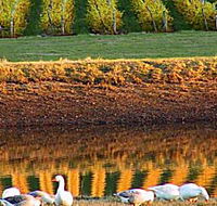 Pipers Brook Vineyard - Accommodation Gold Coast