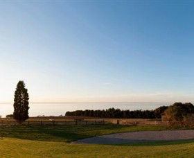 Jack Rabbit Vineyard - Accommodation Gold Coast 3