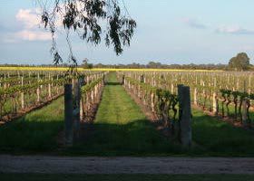 Leichardt ACT Accommodation Gold Coast