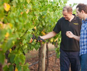 Fratin Brothers Vineyard - Accommodation Gold Coast 0