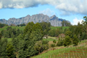 Lake Barrington Vineyard - Accommodation Gold Coast 0