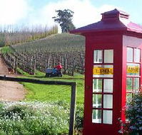 Dalrymple Vineyards - Accommodation Gold Coast