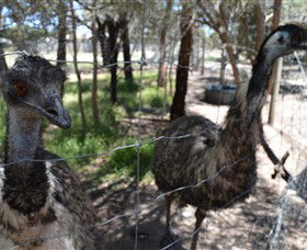 Narana Aboriginal Cultural Centre - Gold Coast 4U 4