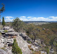 Munghorn Gap Nature Reserve - Accommodation Gold Coast