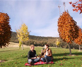 Gapsted Wines - Accommodation Gold Coast 5