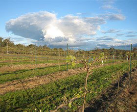 Flyfaire Wines - 1 Gold Coast 7