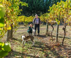 Little River Wines Of Taggerty - Accommodation Gold Coast 0