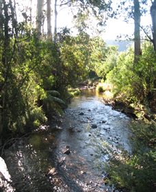 Little River Wines Of Taggerty - Accommodation Gold Coast 5